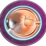 ROP-icon-updated-150×150.png